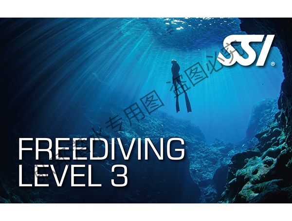 自由潜水level 3 课程