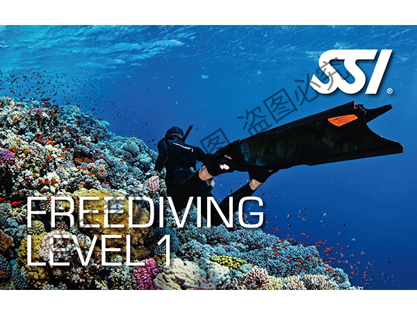 自由潜水level 1 课程