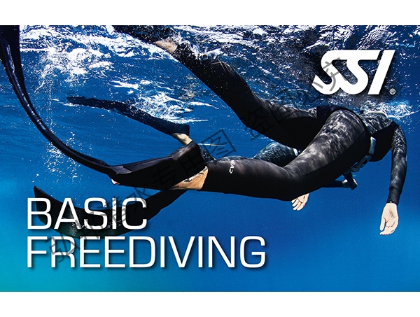 初级自由潜水课程
