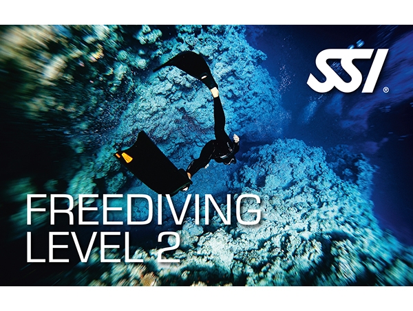 自由潜水level 2 课程